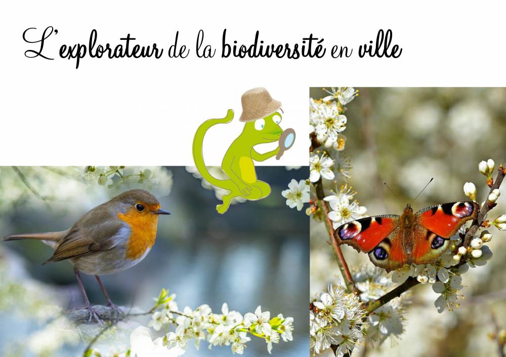 biodiversite